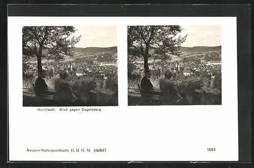 Stereo-AK Murrhardt, Blick gegen Siegelsberg