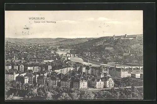 AK Würzburg, Totale vom Steinberg aus gesehen
