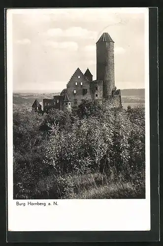 AK Neckarzimmern, Blick auf die Burg Hornberg a. N.