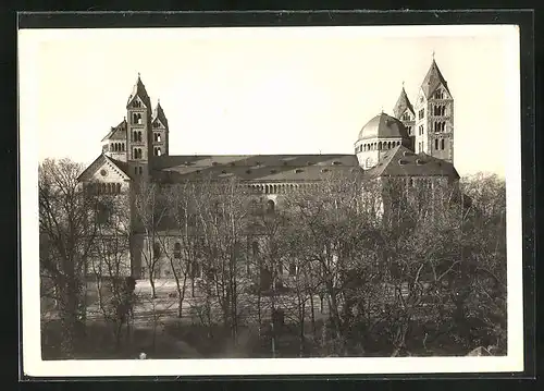 Foto-AK Walter Hege: Speyer, Dom Südseite