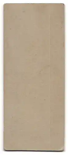 Fotografie H. Traunecker, Biberach a /R., Portrait junge Dame im geblümten Kleid mit Fächer