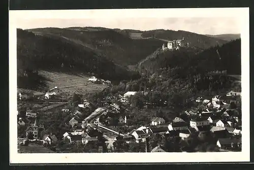 AK Nedvedice p. P., Panorama