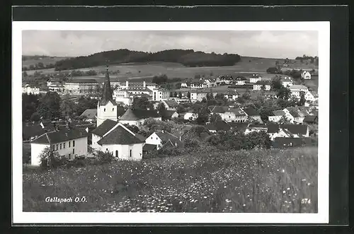 AK Gallspach, Ortsansicht im Sommer