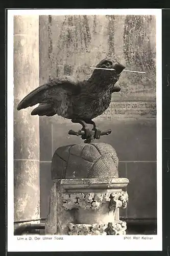 AK Ulm a. D., Der Ulmer Spatz