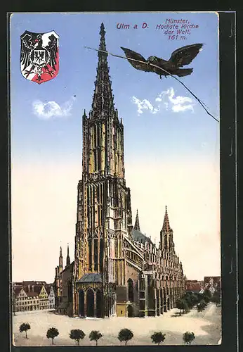 AK Ulm a. D., Spatz über dem Münster