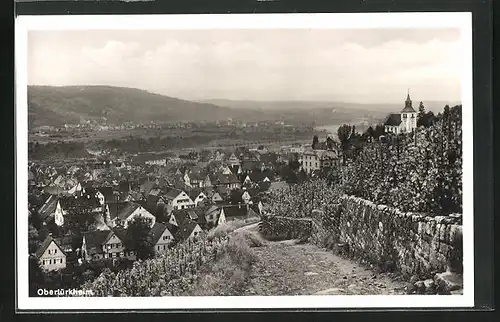 AK Obertürkheim, Totalansicht mit Weinreben