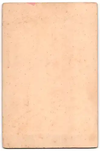 Fotografie Oldal Istvan, N. Becskerek, Portrait kleiner Junge in hübscher Kleidung