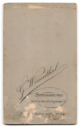 Fotografie G. Wiesenthal, Strassburg, Schreiberstubgasse 6, Portrait Uffz. Uniform Rgt.143 mit Orden und Schützenschnur
