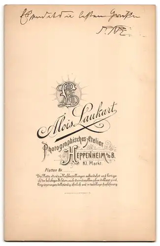 Fotografie Alois Laukart, Heppenheim a. d. B., Kl. Markt, adrett gekleidetet Herr im Mantel mit Melone und Spazierstock