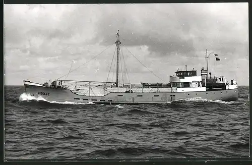 Fotografie Frachtschiff Libelle auf See