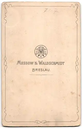 Fotografie Messow & Waldschmidt, Breslau, Betagtes Ehepaar in eleganter Kleidung