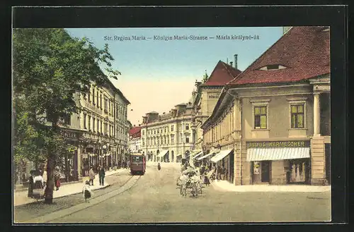 AK Hermannstadt /Sibiu, Königin Maria-Strasse