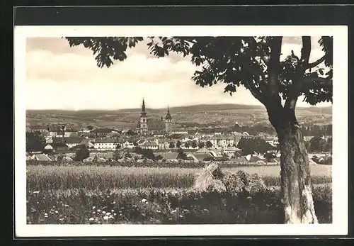 AK Wischau / Vyskov, Celkový pohled