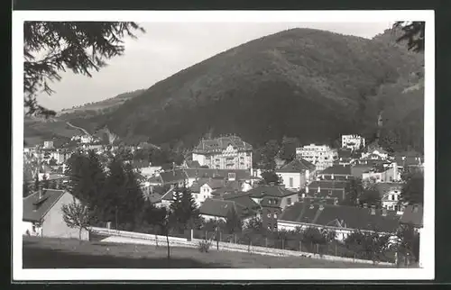 AK Trenc, Teplice, Panorama