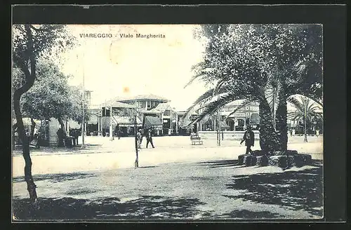 AK Viareggio, Viale Margherita