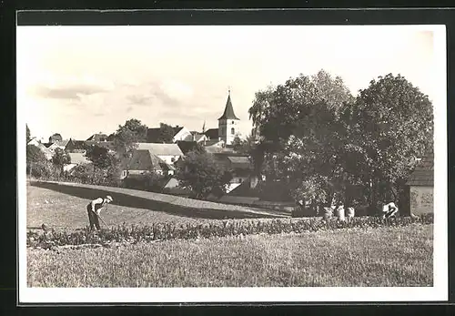 AK Cernovice, Panorama mit Bauern
