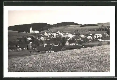 AK Olesnice v Orl. horach, Panorama