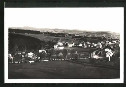 AK Rokitnitz / Rokytnice v Orlickych Horach, Panorama