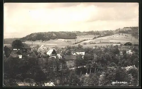 AK Roskopov, Panorama