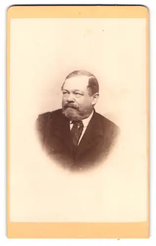 Fotografie F. Strezek, Wien, Donaustrasse 89, Portrait stattlicher Herr mit Vollbart im Jackett