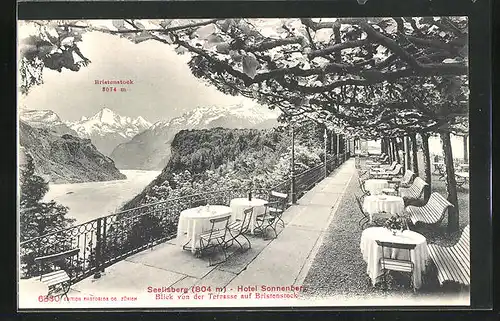 AK Seelisberg, Hotel Sonnenberg, Blick von der Terrasse auf Bristenstock