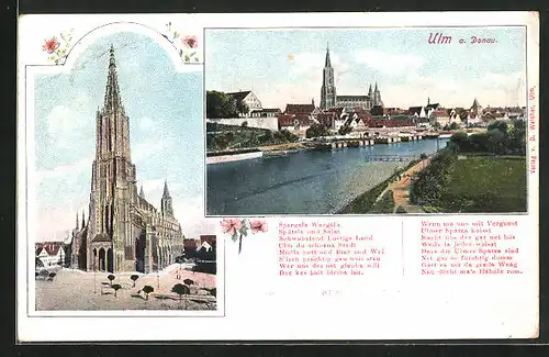 AK Ulm / Donau, Münster und Totalansicht