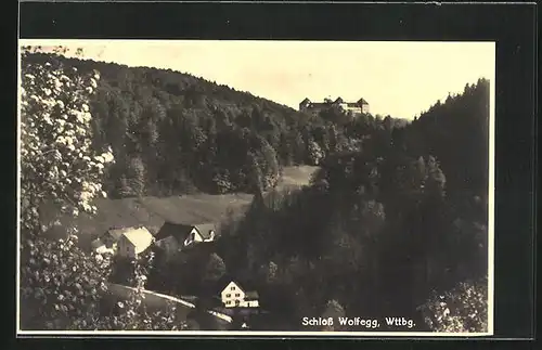 AK Wolfegg / Württemberg, Totalansicht mit Schloss