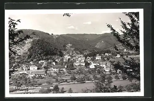 AK Oppenau / Schwarzwald, Totale mit Gebirgswand
