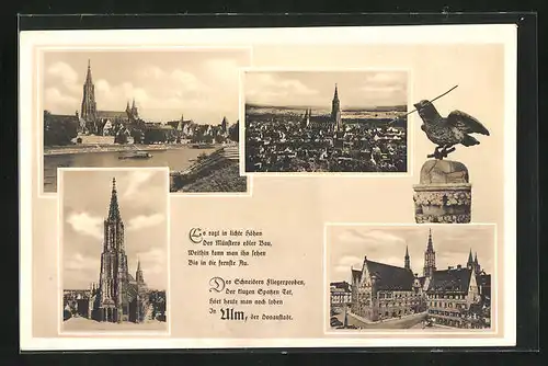 AK Ulm / Donau, Münster, Markt mit Rathaus