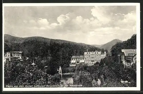 AK Bergzabern a.d. Weinstrasse, Partie aus dem Kurtal