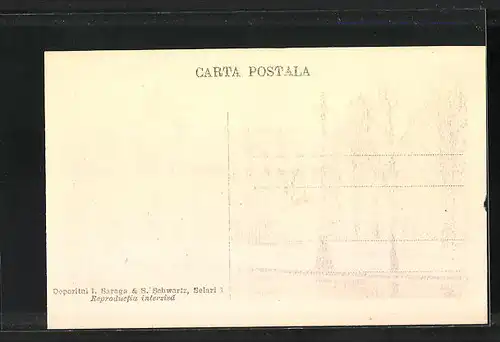 AK Bukarest, Justizministerium und Denkmal Mihai Viteasu