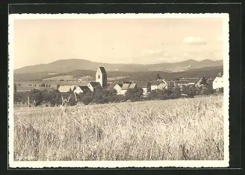 AK Egringen, Gesamtansicht