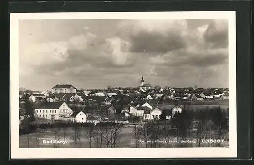 AK Sedlcany, Celkový pohled