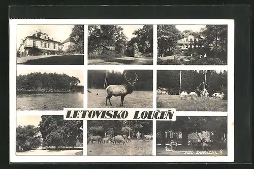 AK Loucen, Ortspartie, Strassenpartie, Wildgehege, Seepartie