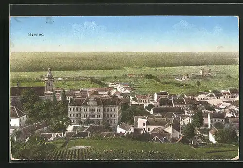 AK Bzenec, Celkový pohled