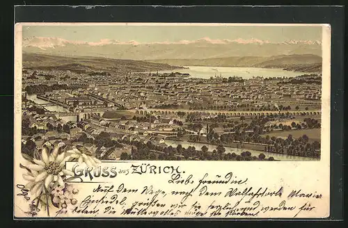 Lithographie Zürich, Gesamtansicht