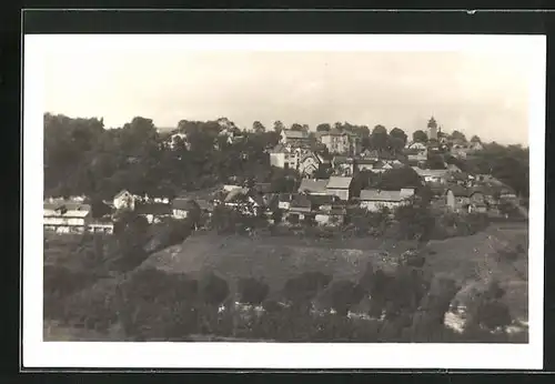 AK Skalsko, Blick auf die Ortschaft am Hang