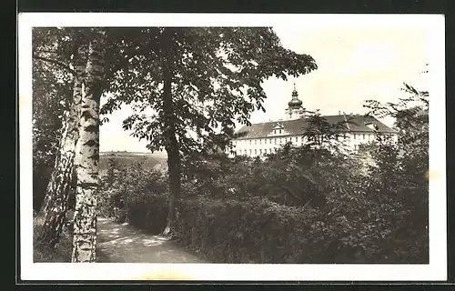 AK Mnichovo Hradiste, Blick zum Schloss