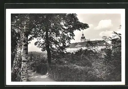 AK Mnichovo Hradiste, auf dem Waldweg mit Schlossblick