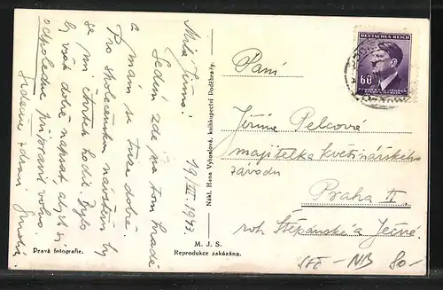 AK Bad Podiebrad / Podebrady, Celkovy Pohled, Pension Humanita