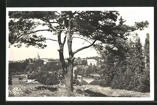 AK Pribyslev, Partie am Waldrand mit Stadtpanorama