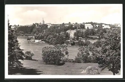 AK Pribyslav, Panoramaansicht vom Feld aus