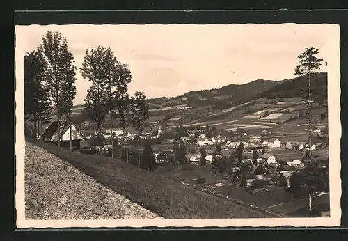 AK Neu-Traubendorfi.d. Wallachei, Ortstotale mit Talblick