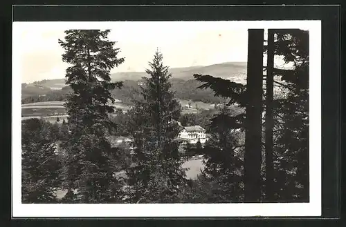 AK Mittel Betschwa, Partie im Wald mit Ortsblick