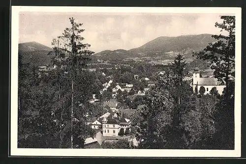 AK Rosenau, Generalansicht der Ortschaft