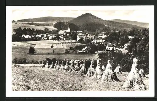 AK Roznov, Heuernte auf dem Feld mit Ortsblick