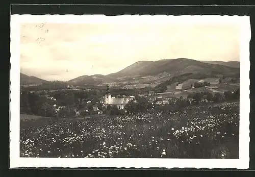 AK Rosenau u.d. Radh., Blick von der Wiese auf den Ort