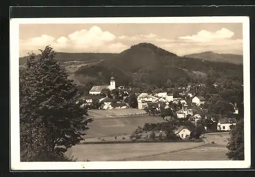 AK Roznov pod Radhostem, Celkovy Pohled