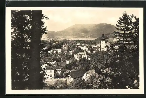 AK Lazne Roznov p. Radh., Blick vom Wald auf den gesamten Ort