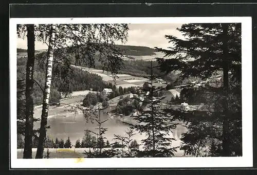 AK Klein Bistritz, Blick vom Wald auf den kleinen See und den Ort